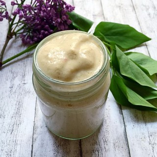 vegan fat-free mayonnaise