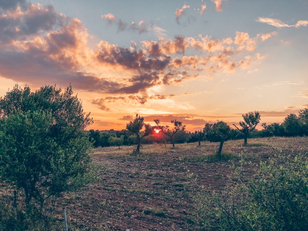 Sonnenuntergang Mallorca 